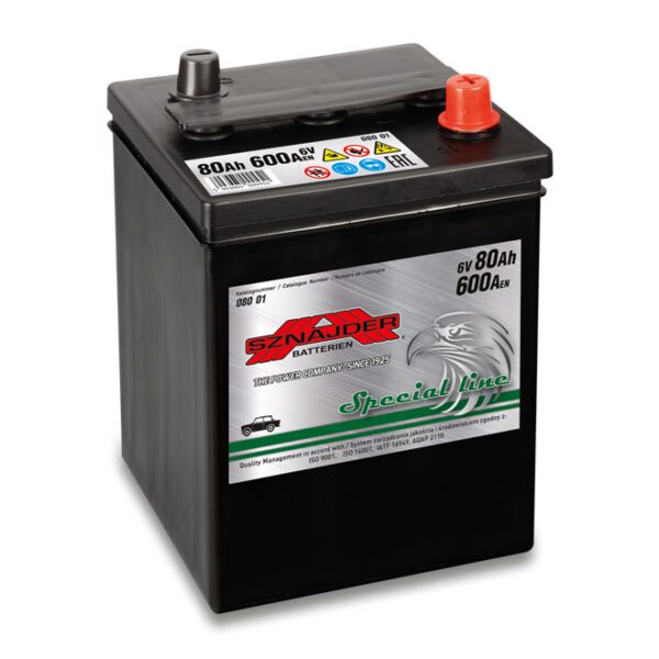 6 Volt i plastkasse