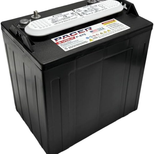 Pacer P-875 8V 165Ah Deep-Cycle